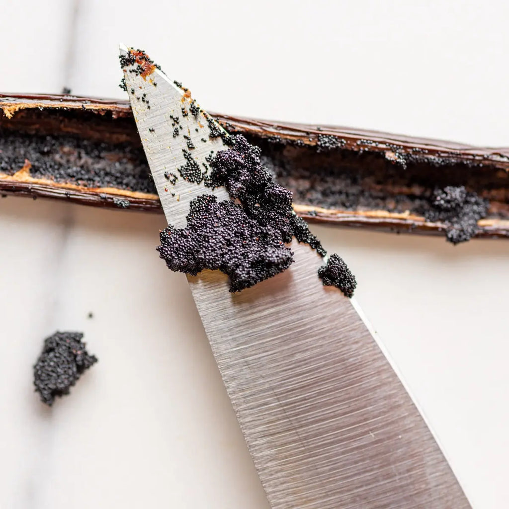 Slofoodgroup Madagascar Vanilla Beans Grade a Gourmet Spice for Cooking Baking Vanilla Extract & Flavor Taffy Caramel Perfect for Ice Creams Cakes & Desserts